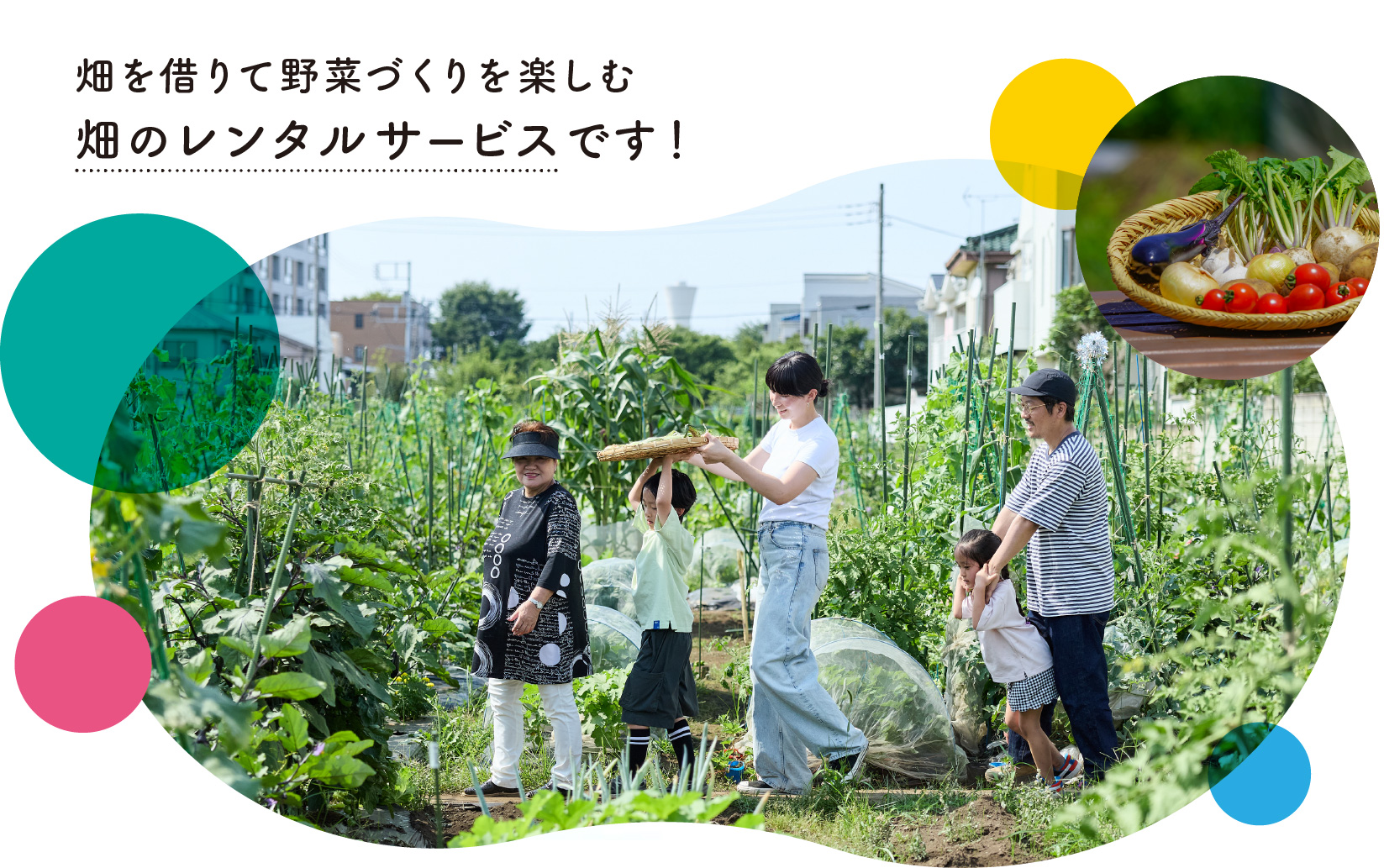 シェア畑とは？