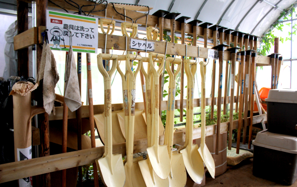 シェア畑 手ぶらで行けるサポート付き貸し農園 体験農園