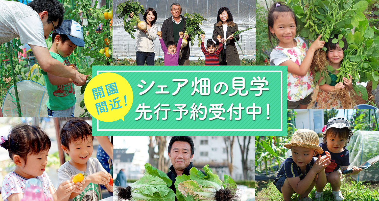開園間近!シェア畑の見学先行予約受付中!