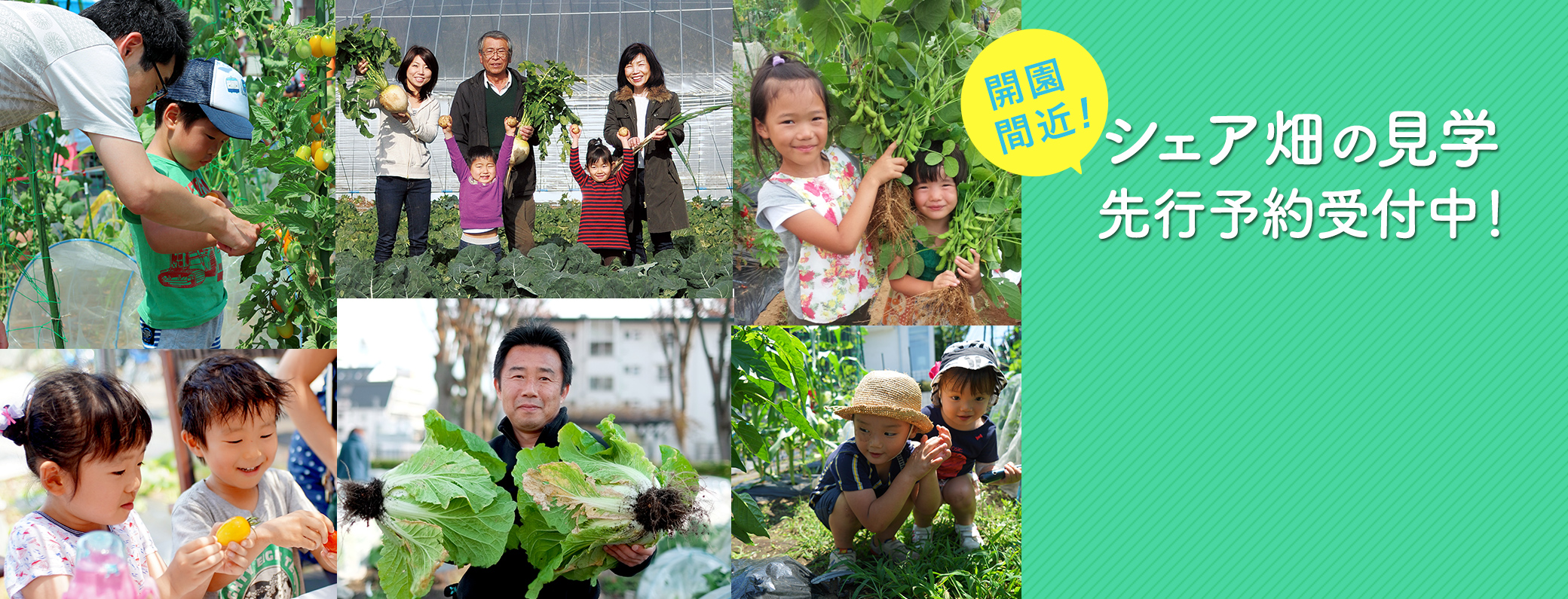 開園間近!シェア畑の見学先行予約受付中!
