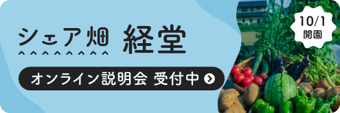 シェア畑 経堂