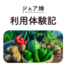 シェア畑利用体験記