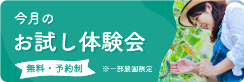 今月のお試し体験会