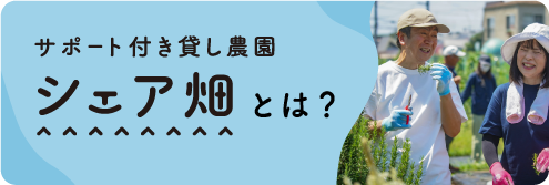 シェア畑とは