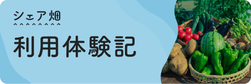 シェア畑利用体験記