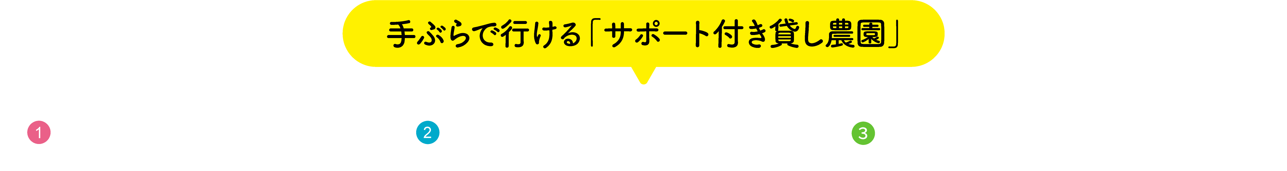 手ぶらで行ける「サポート付き貸し農園」