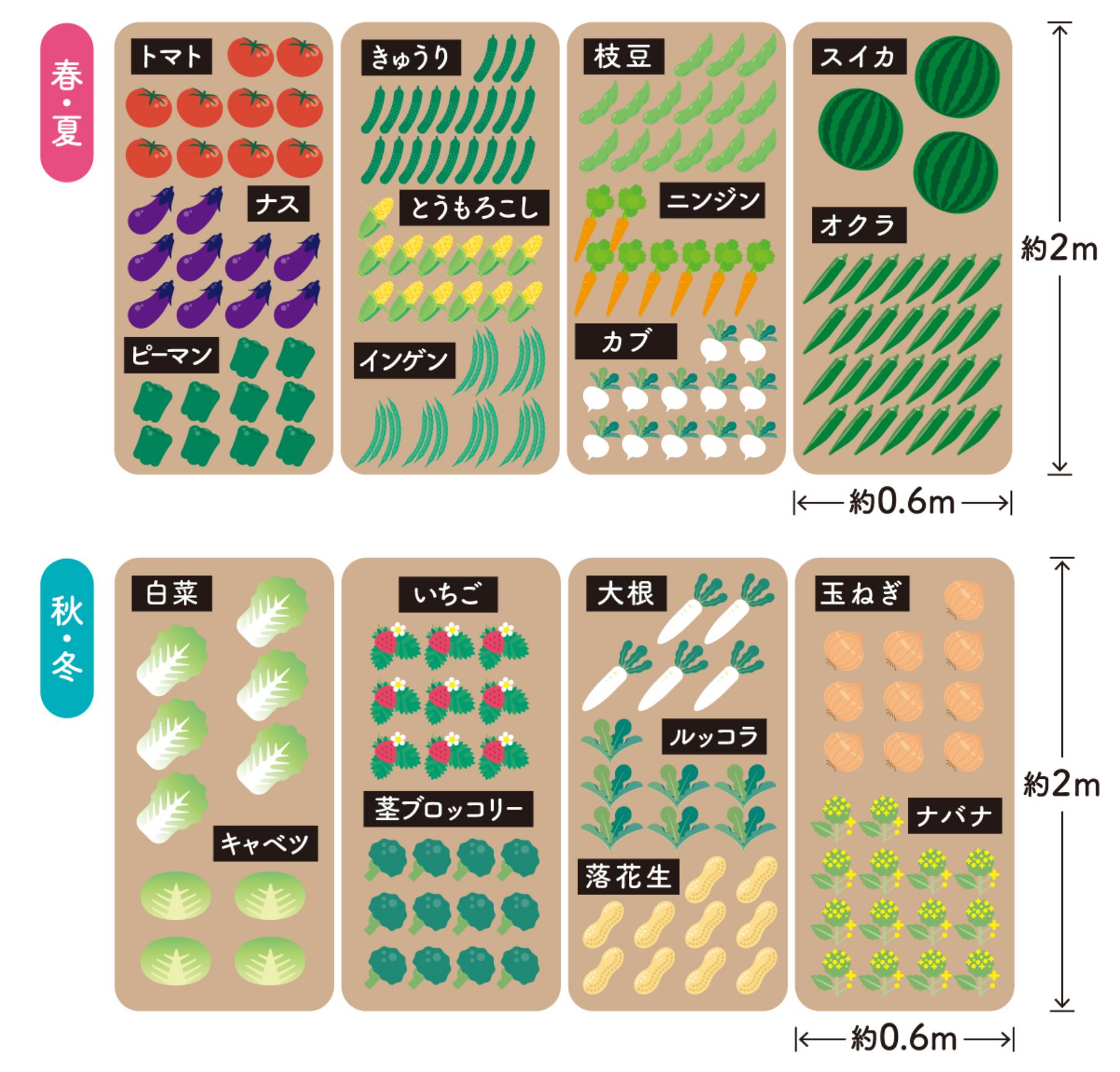 作付けレイアウト例 4畝の場合