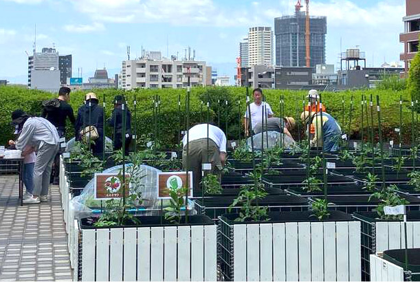 現地見学会