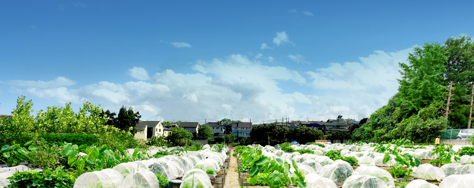 無農薬野菜作りのサポート付き貸し農園「シェア畑」