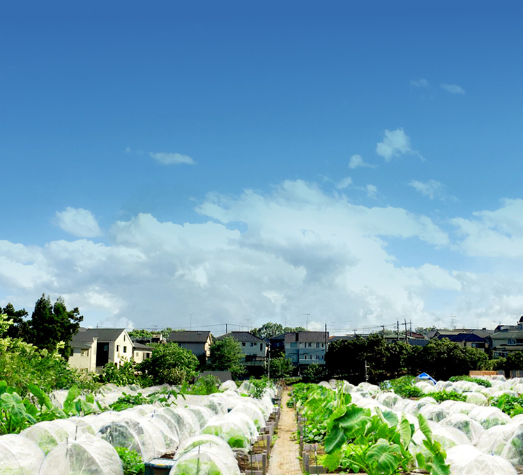 無農薬野菜作りのサポート付き貸し農園「シェア畑」