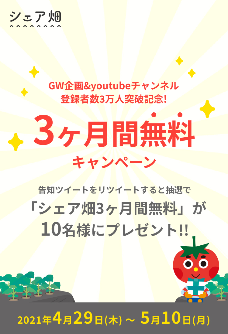 3ヶ月無料キャンペーン