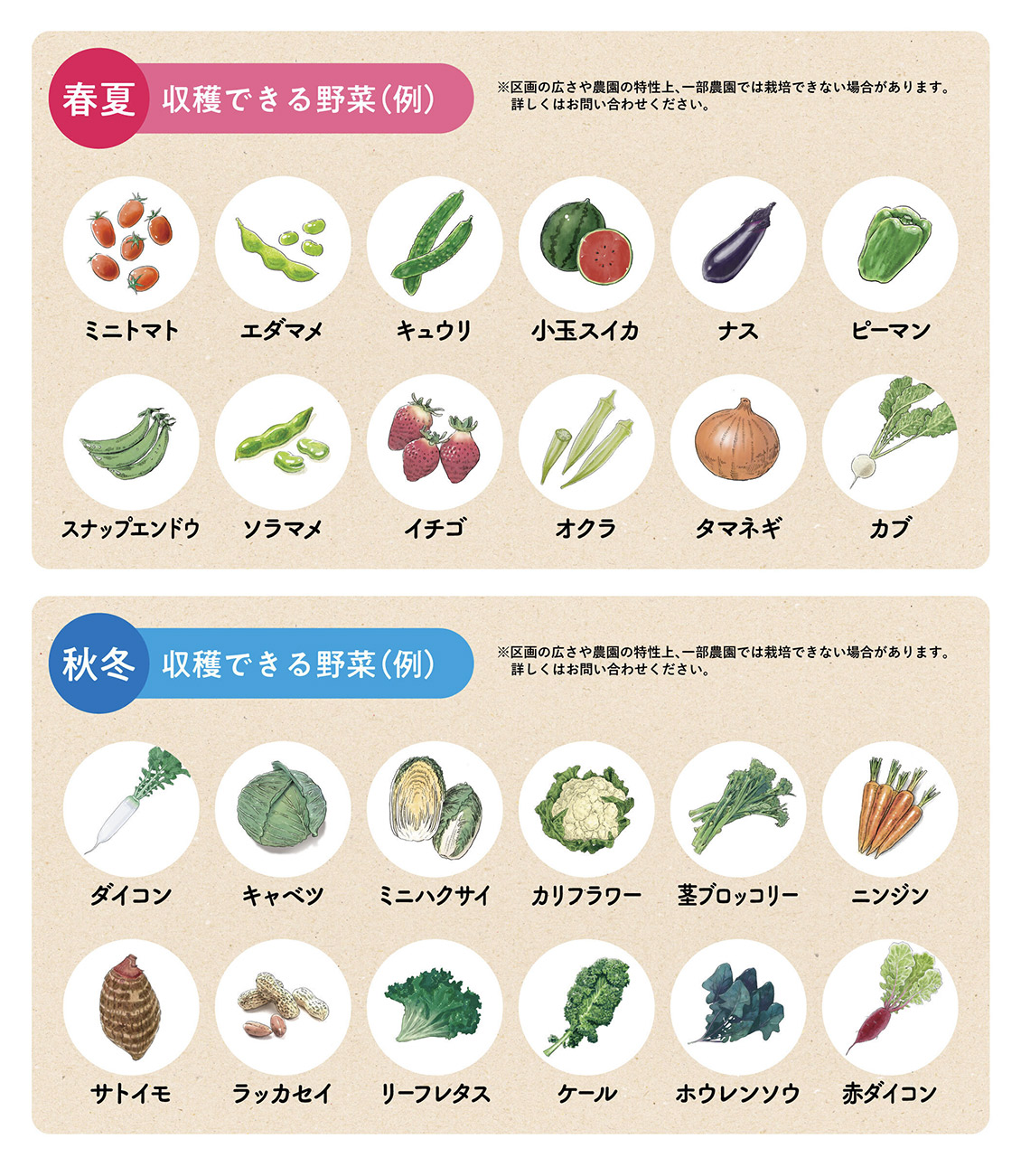 作付けレイアウト例 4畝の場合