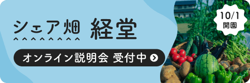 シェア畑 経堂