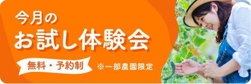 今月のお試し体験会