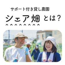 シェア畑とは